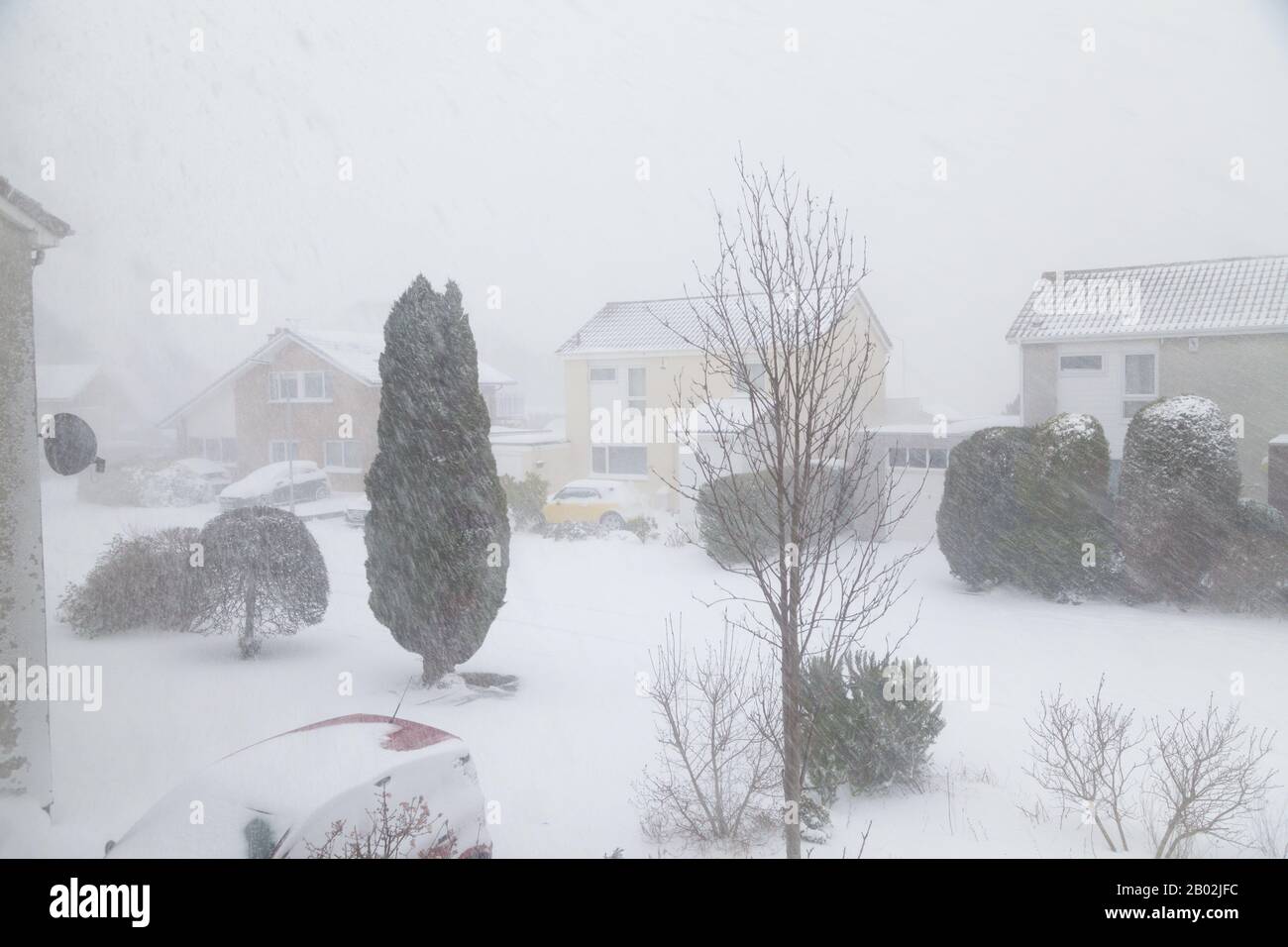 Blizzard conditions hi-res stock photography and images - Alamy