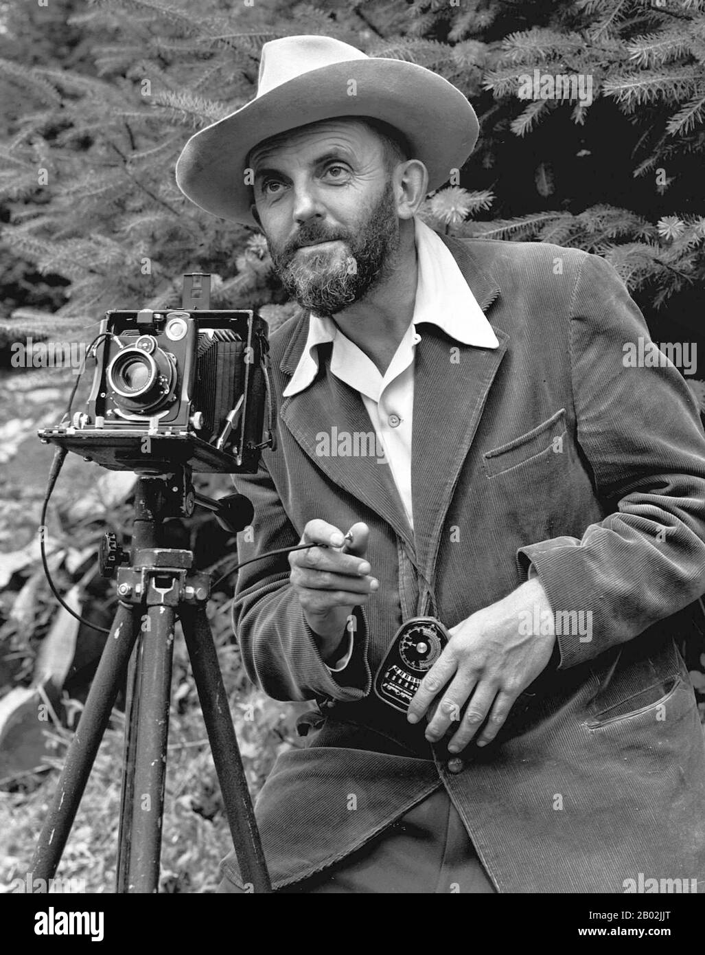 Ansel Easton Adams (February 20, 1902 – April 22, 1984) was an American photographer and environmentalist. His black-and-white landscape photographs of the American West, especially Yosemite National Park, have been widely reproduced on calendars, posters, and in books.  With Fred Archer, Adams developed the Zone System as a way to determine proper exposure and adjust the contrast of the final print. The resulting clarity and depth characterized his photographs. Adams primarily used large-format cameras because their high resolution helped ensure sharpness in his images.  Adams was distressed Stock Photo