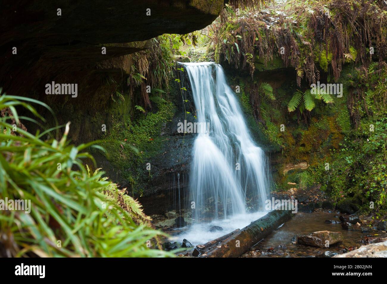Maspie Den waterfall in Falkland Estate Fife Scotland. Stock Photo