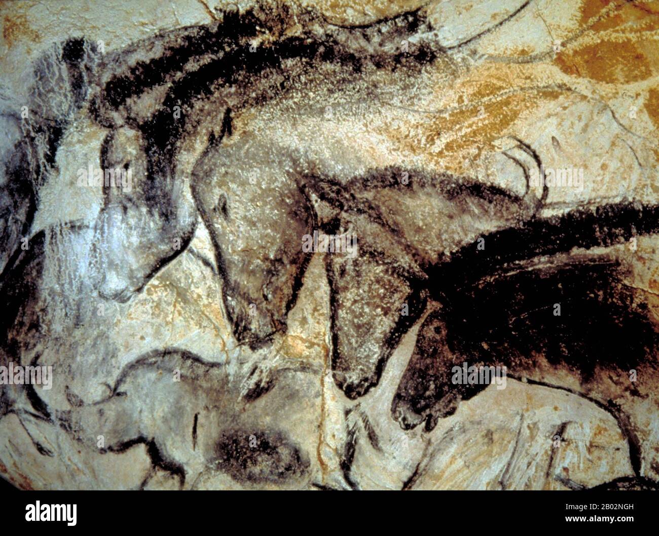 Lascaux Is The Setting Of A Complex Of Caves In Southwestern