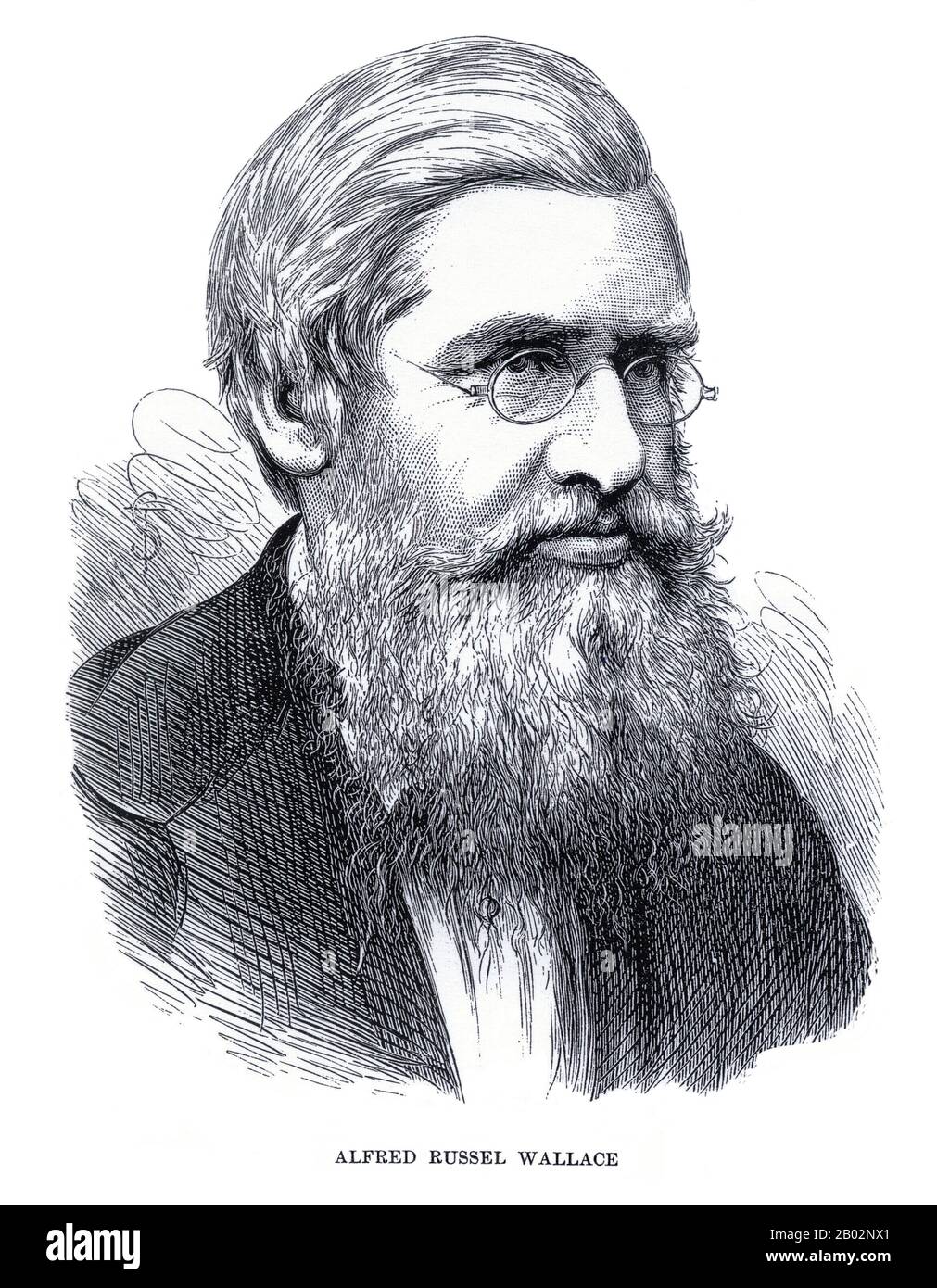 Alfred Russel Wallace OM FRS (8 January 1823 – 7 November 1913) was a British naturalist, explorer, geographer, anthropologist, and biologist. He is best known for independently conceiving the theory of evolution through natural selection; his paper on the subject was jointly published with some of Charles Darwin's writings in 1858. This prompted Darwin to publish his own ideas in On the Origin of Species.  Wallace did extensive fieldwork, first in the Amazon River basin and then in the Malay Archipelago, where he identified the faunal divide now termed the Wallace Line, which separates the In Stock Photo