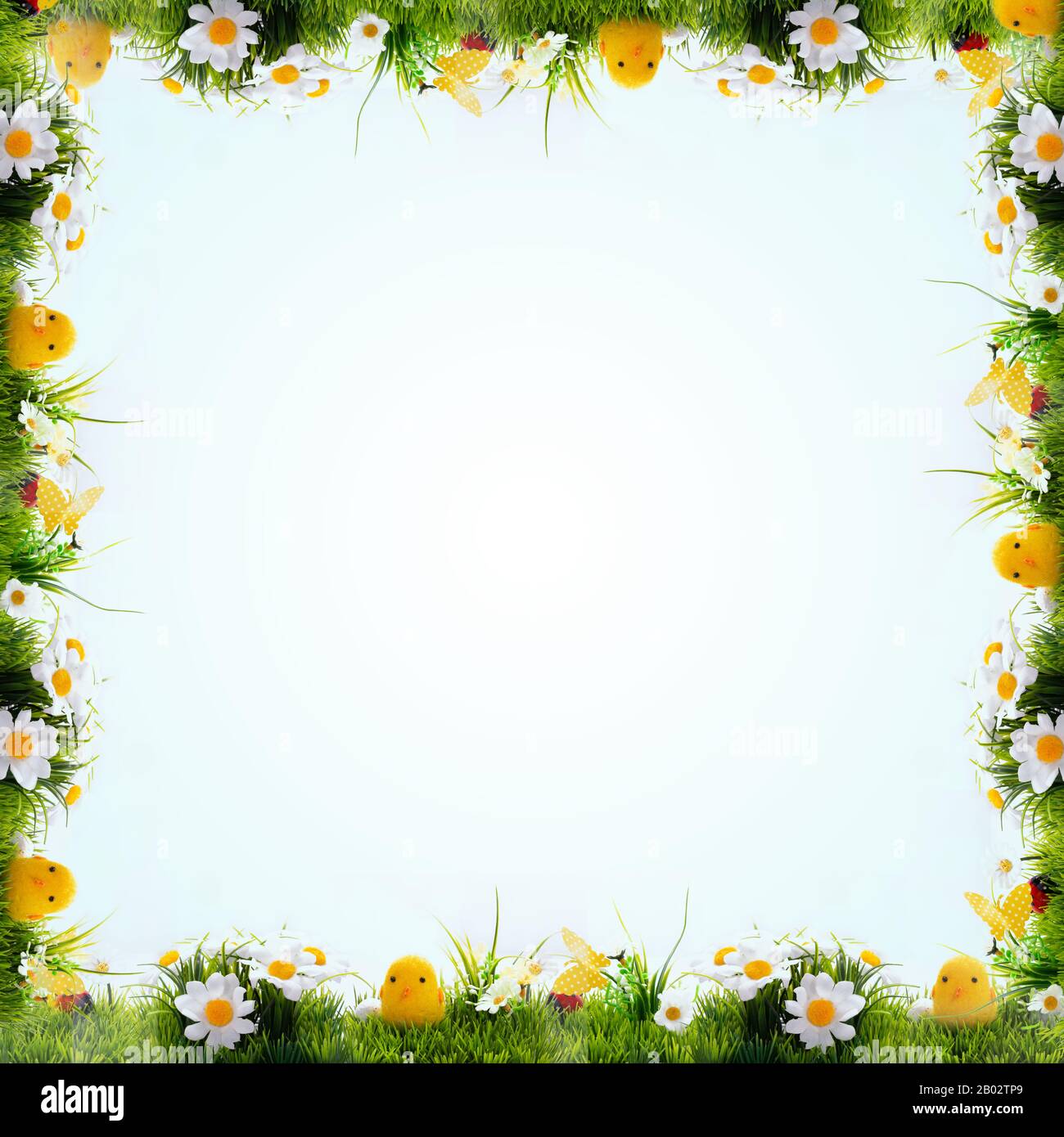 Easter background, cheerful flowers, Easter green and blue with yellow, Concept, screen, postcard, wallpaper, fresh and cheerful, frame, space for tex Stock Photo