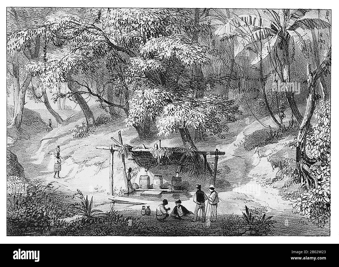 Jodensavanne (Dutch, 'Jewish Savanna') was an attempt to establish an autonomous Jewish territory in Suriname, South America. Jodensavanne is located in Para District, about 50 km south of the capital Paramaribo, on the Suriname River.  In 1639, the English government allowed Sephardi Jews from the Netherlands, Portugal and Italy to settle the region, coming to the old capital Torarica. In the year 1652, a new group that migrated under the leadership of Lord Willoughby came to Suriname and settled in the area Jodensavanne. A third group came in 1664, after their expulsion from Brazil and then Stock Photo