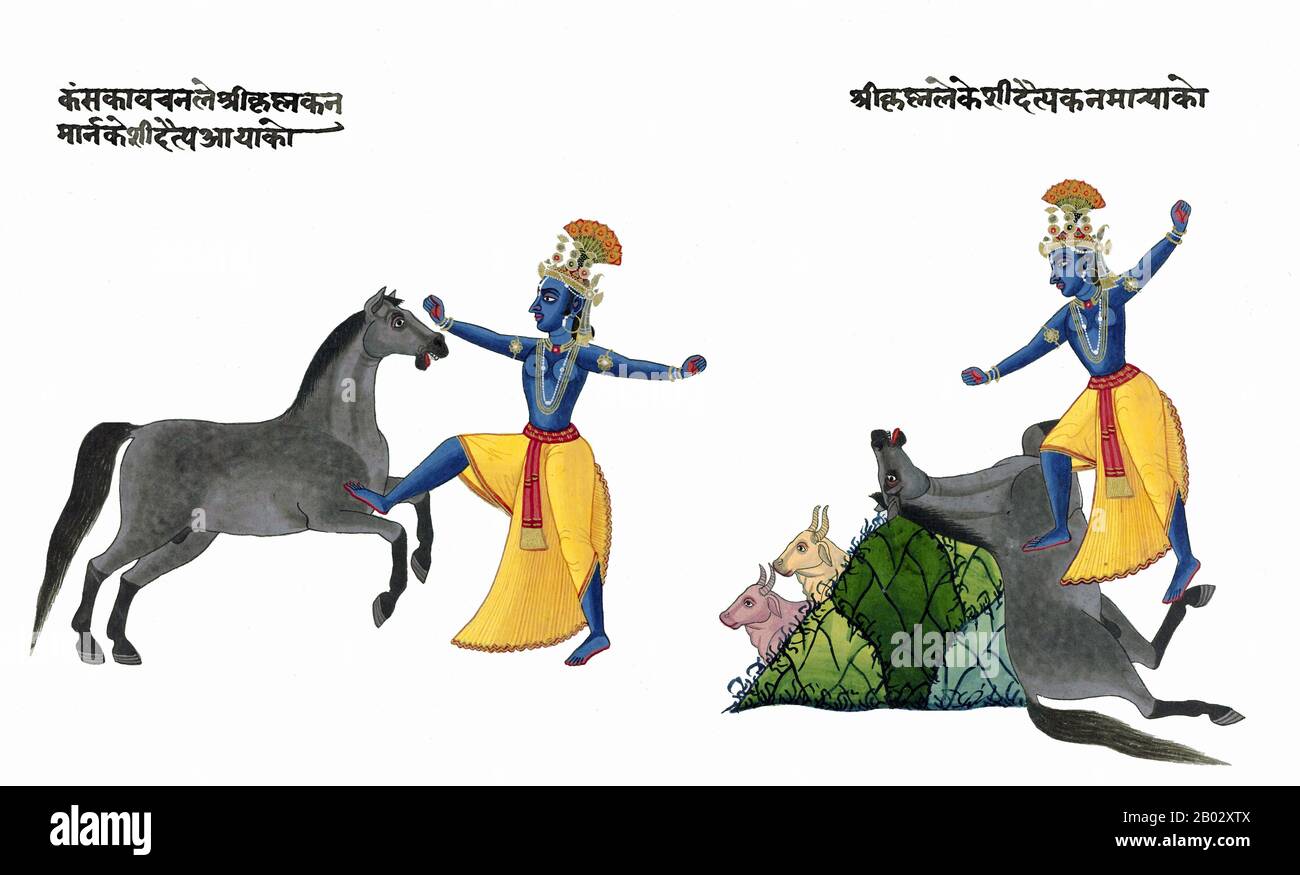 According to Hindu mythology, the evil King Kamsa once sent his friend and ally, Keshi, to kill Krishna. Keshi had great powers, and he turned himself into a great and terrible horse. He galloped into the village of Vrindavan, his hooves thundering and his mane and tail flying. Everyone was terrified.  Krishna met him. Keshi at once recognized Krishna, and galloped full speed straight toward Him, intending to trample Him. Krishna, however, grabbed Keshi’s legs and threw the great horse a hundred yards. Keshi landed with a terrible thud, and was unconscious for a few moments, but he regained co Stock Photo