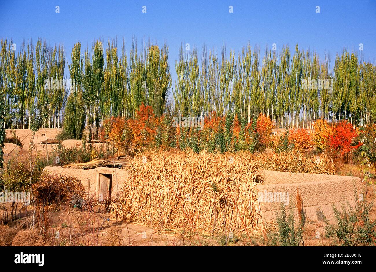 The Kunlun Mountains are one of the longest mountain chains in Asia, extending more than 3,000 km. In the broadest sense, it forms the northern edge of the Tibetan Plateau south of the Tarim Basin and the Gansu Corridor and continues east south of the Wei River to end at the North China Plain. Stock Photo