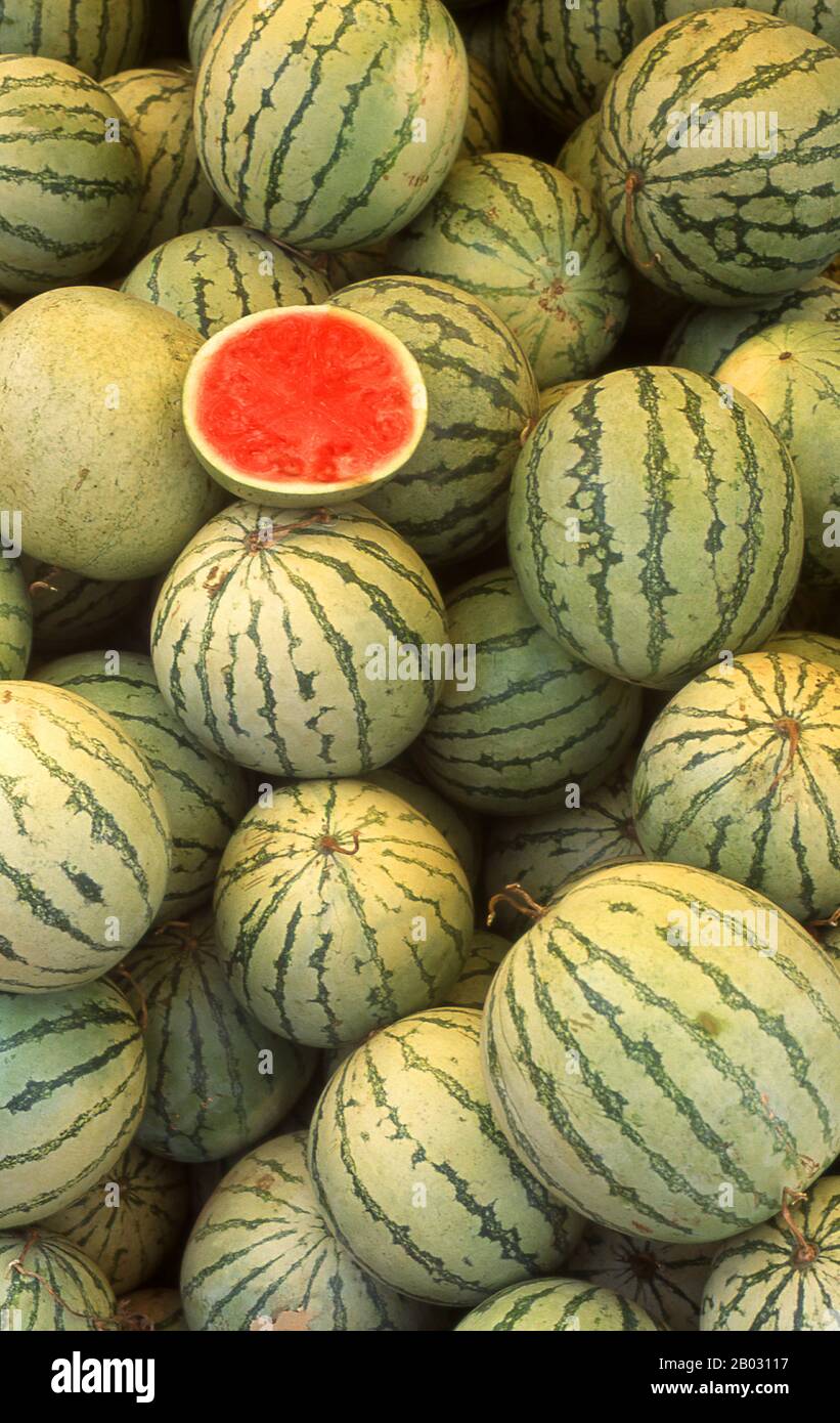 ancient watermelon
