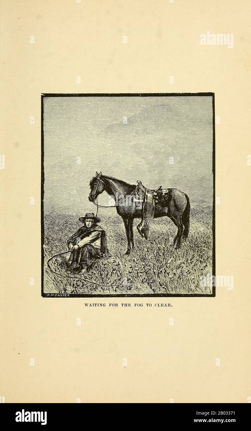The beef bonanza; or, How to get rich on the plains. Being a description of cattle-growing, sheep-farming, horse-raising, and dairying in the West by General Brisbin, James S. (James Sanks), 1837-1892. Published in Philadelphia, USA in 1882 Stock Photo