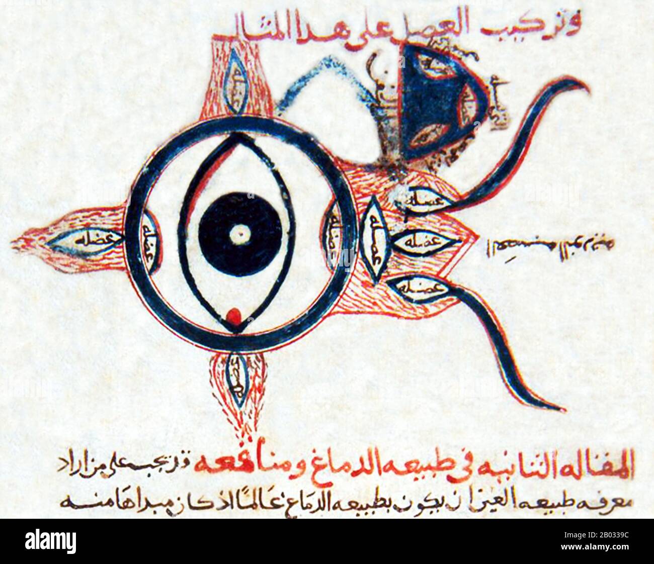 Hunayn ibn Ishaq ( Latin: Iohannitius) (809 – 873) was a famous and influential scholar, physician, and scientist of Nestorian Arab Christian descent. He and his students transmitted their Syriac and Arabic translations of many classical Greek texts throughout the Islamic world, during the apex of the Islamic Abbasid Caliphate.  Hunayn ibn Ishaq was the most productive translator of Greek medical and scientific treatises in his day. He studied Greek and became known among the Arabs as the 'Sheikh of the translators'. He mastered four languages: Arabic, Syriac, Greek and Persian. Stock Photo