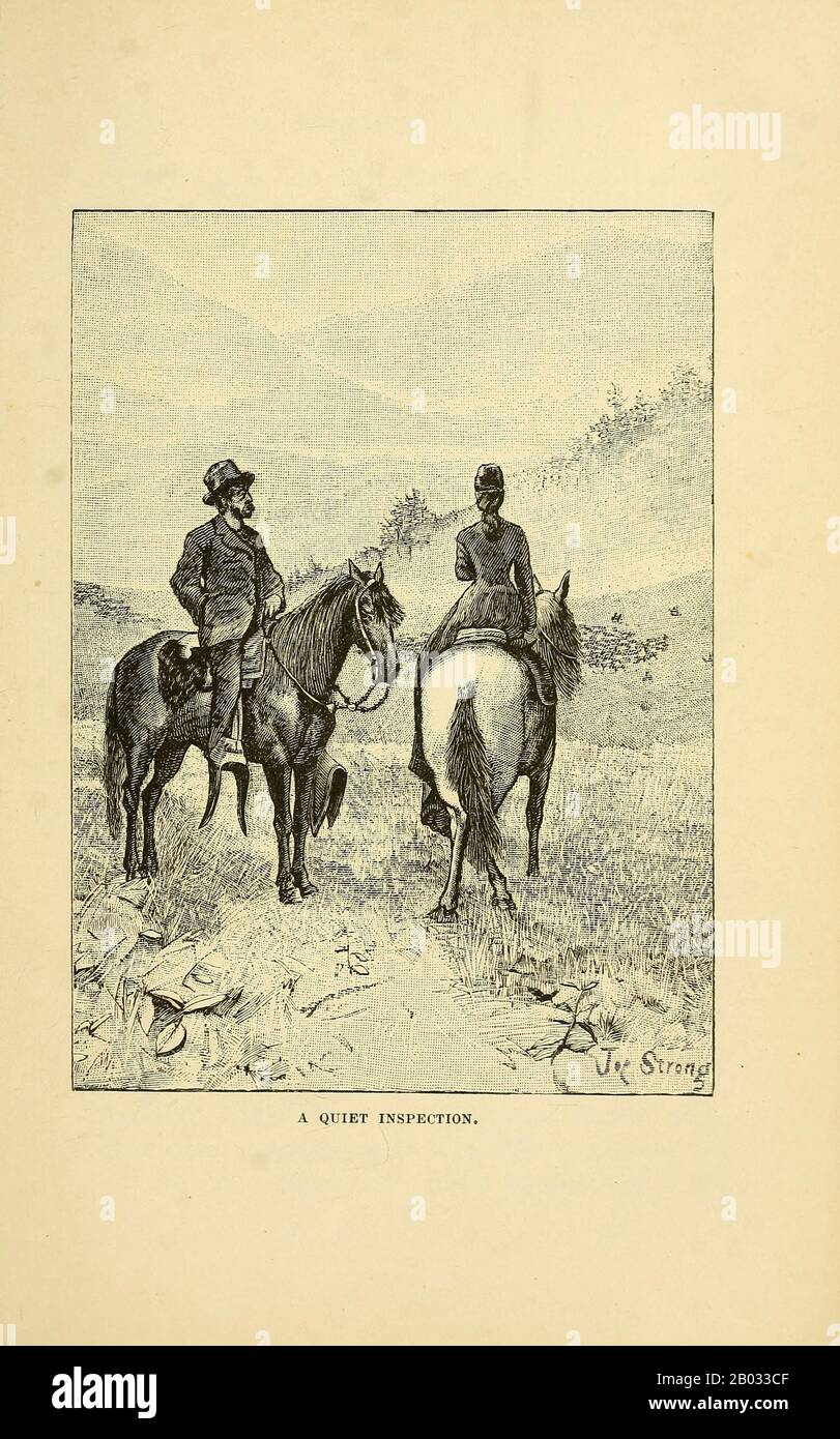The beef bonanza; or, How to get rich on the plains. Being a description of cattle-growing, sheep-farming, horse-raising, and dairying in the West by General Brisbin, James S. (James Sanks), 1837-1892. Published in Philadelphia, USA in 1882 Stock Photo