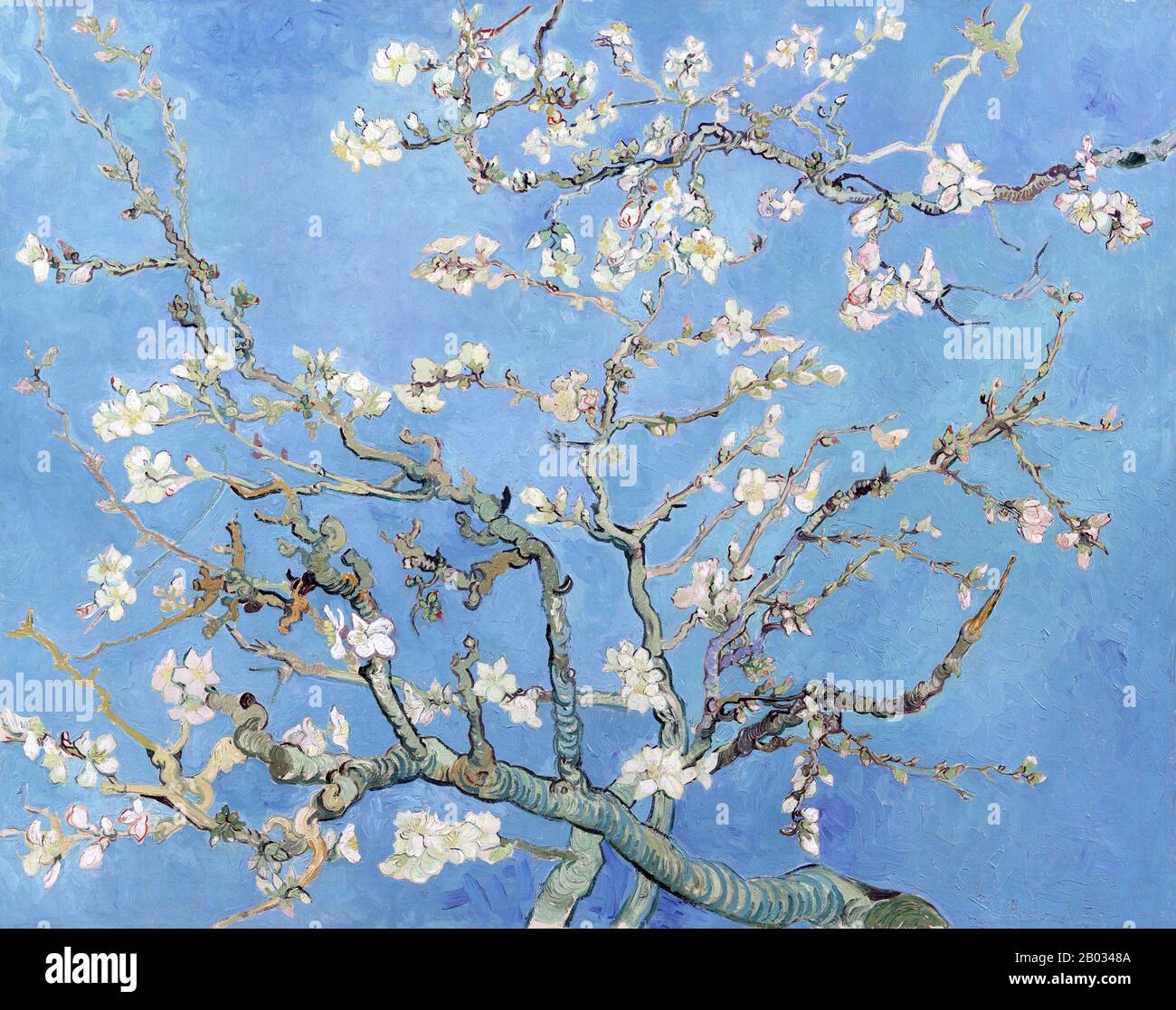 Almond Blossoms is from a group of several paintings made in 1888 and 1890 by Vincent van Gogh in Arles and Saint-Rémy, southern France of blossoming almond trees. Flowering trees were special to Van Gogh. They represented awakening and hope. He enjoyed them aesthetically and found joy in painting flowering trees.  The works reflect Impressionist, Divisionist and Japanese woodcut influences. Stock Photo