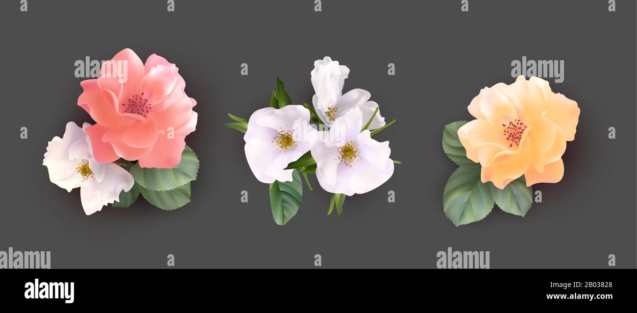 Set of flower bouquets Stock Vector Image & Art - Alamy