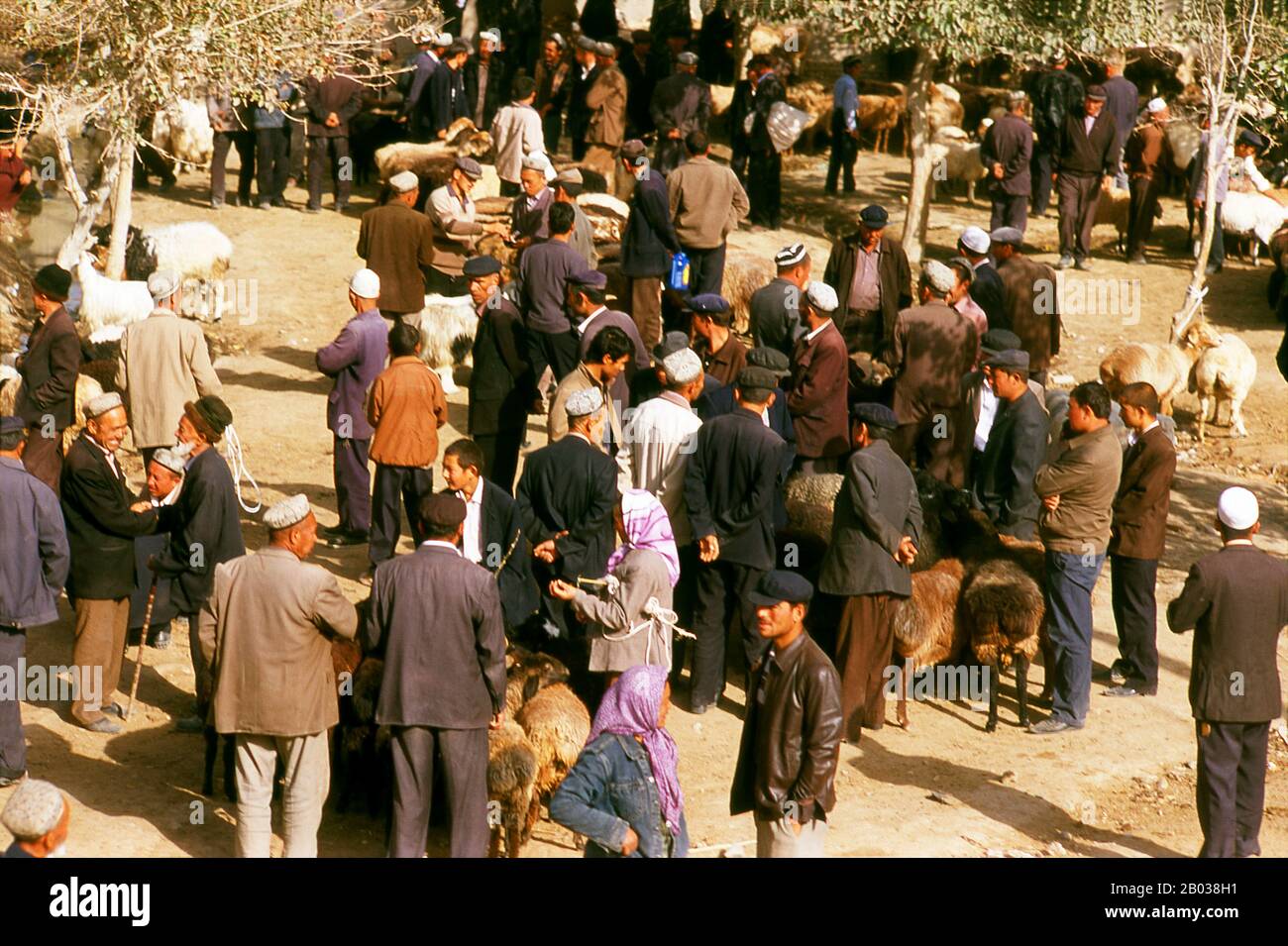 The earliest mention of Kashgar occurs when a Chinese Han Dynasty (206 BCE – 220 CE) envoy traveled the Northern Silk Road to explore lands to the west. Another early mention of Kashgar is during the Former Han (also known as the Western Han Dynasty), when in 76 BCE the Chinese conquered the Xiongnu, Yutian (Khotan), Sulei (Kashgar), and a group of states in the Tarim basin almost up to the foot of the Tian Shan mountains. Ptolemy spoke of Scythia beyond the Imaus, which is in a 'Kasia Regio', probably exhibiting the name from which Kashgar is formed. The country’s people practised Zoroastr Stock Photo
