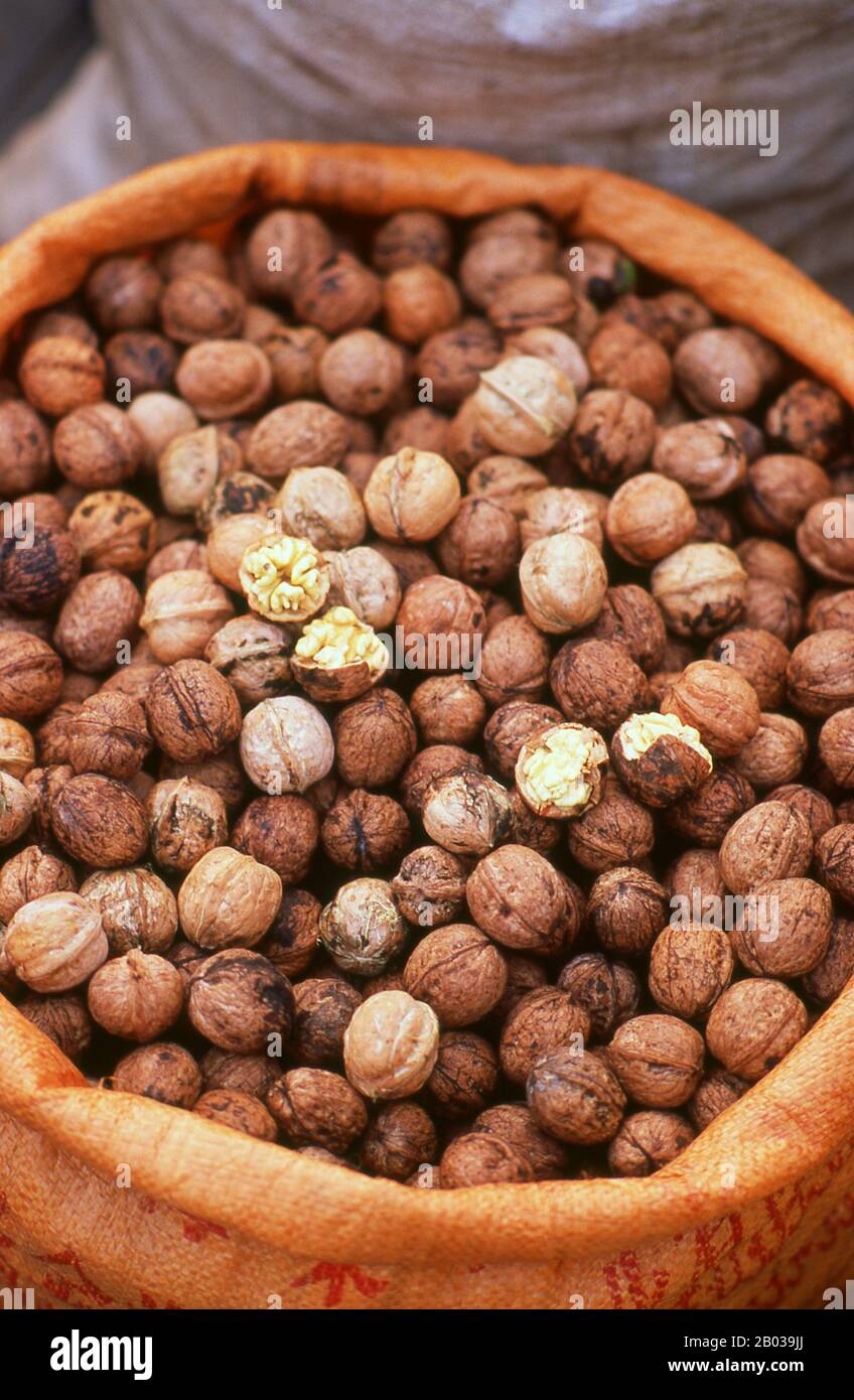A walnut is an edible seed of any tree of the genus Juglans (Family Juglandaceae), especially the Persian or English walnut, Juglans regia. Broken nutmeats of the eastern black walnut from the tree Juglans nigra are also commercially available in small quantities, as are foods prepared with butternut nutmeats from Juglans cinerea.  Walnuts are rounded, single-seeded stone fruits of the walnut tree. The walnut fruit is enclosed in a green, leathery, fleshy husk. This husk is inedible. After harvest, the removal of the husk reveals the wrinkly walnut shell, which is in two halves. This shell is Stock Photo