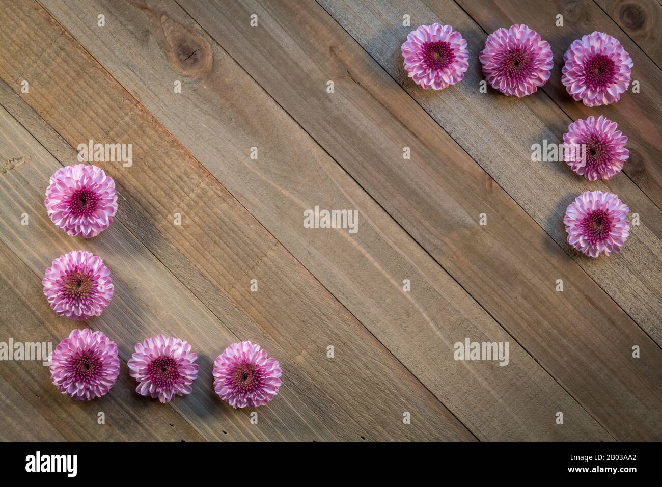 Hipster wedding invitation card hi-res stock photography and images - Page  14 - Alamy, image size:1300x956