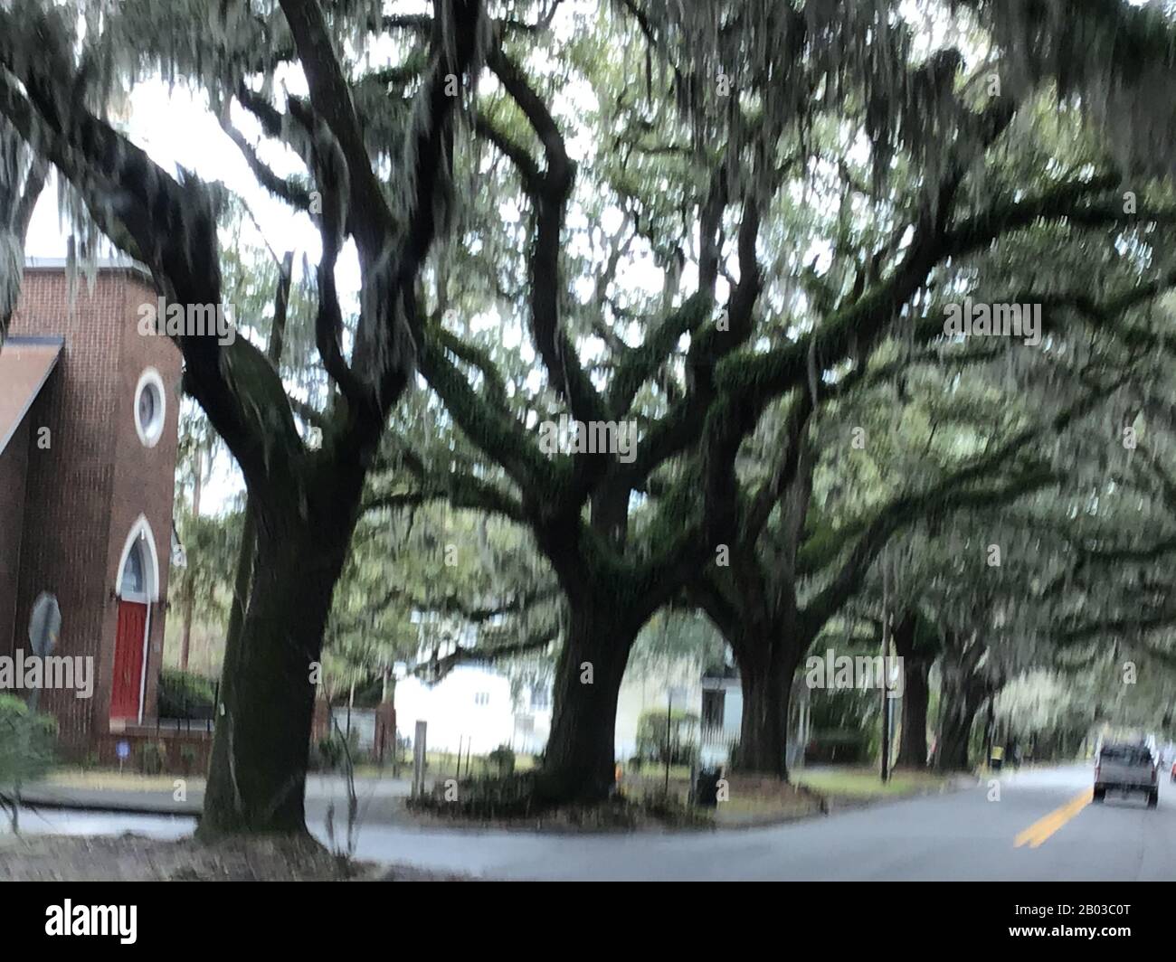 Live oaks and moss on street in Savanah neighborhood Stock Photo Alamy
