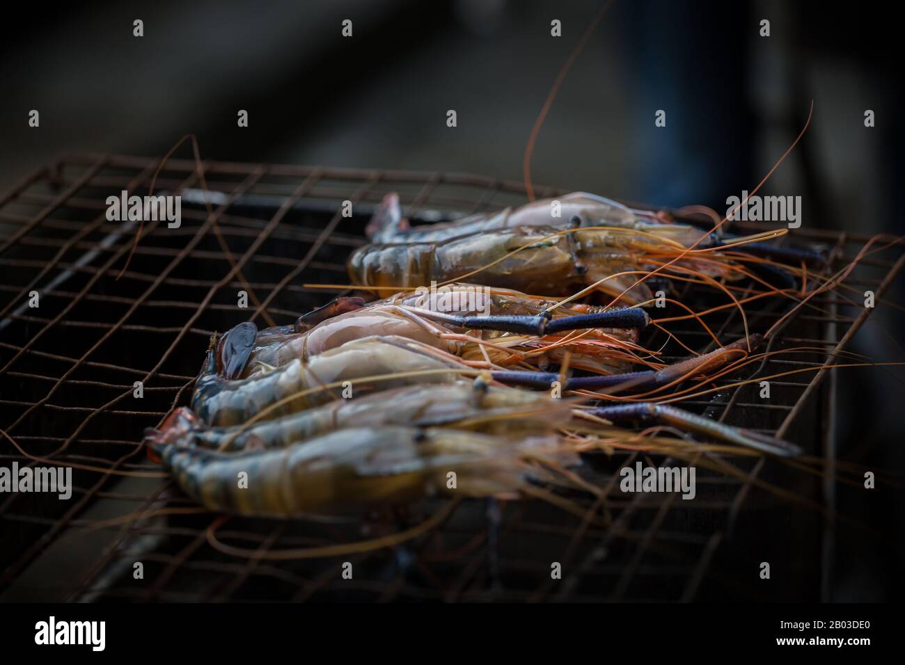 Shrimp placed on the stove with a grill Stock Photo - Alamy