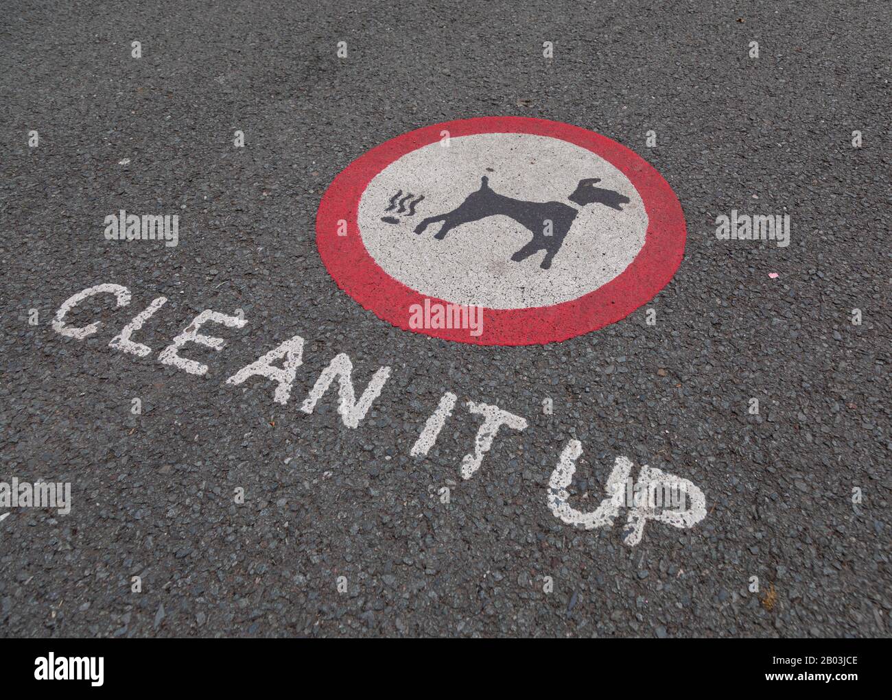 Image painted on park road encouraging people to clean up dog mess in Wallasey Wirral July 2019 Stock Photo