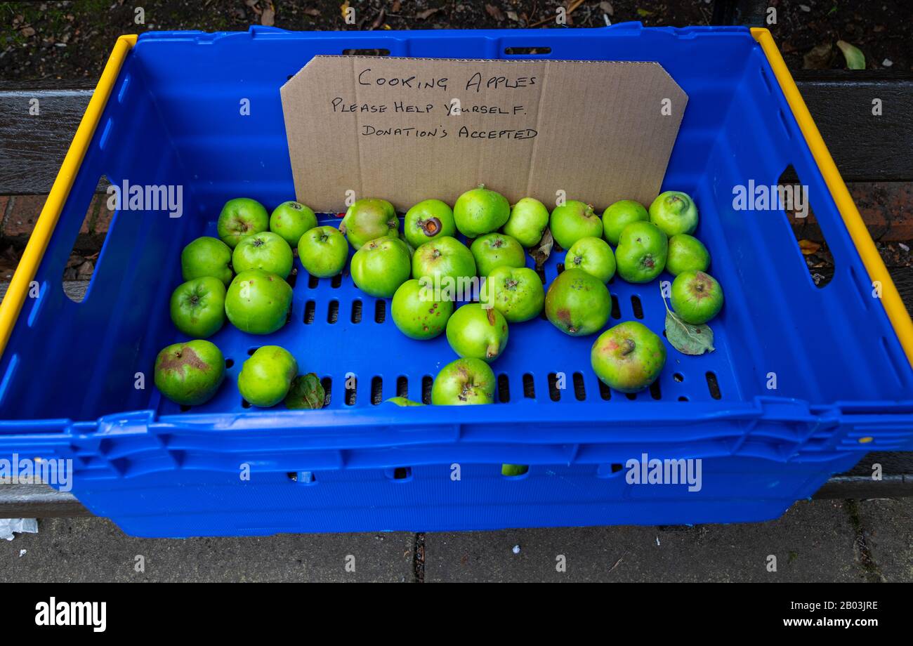 a box of cooking apples in central park Wallasey Wirral July 2019 Stock Photo