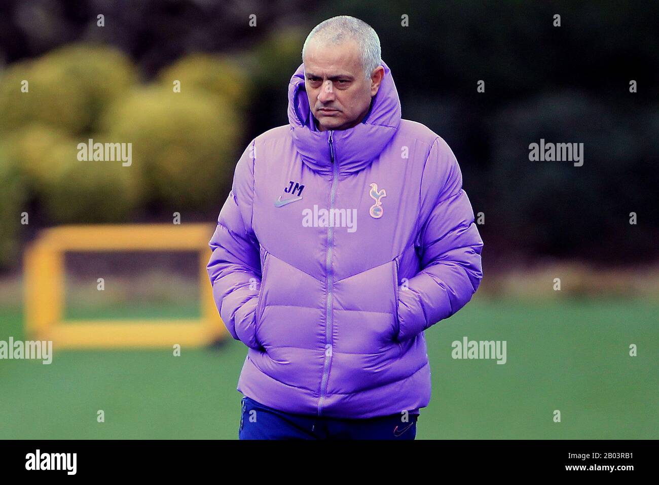 tottenham puffer jacket purple