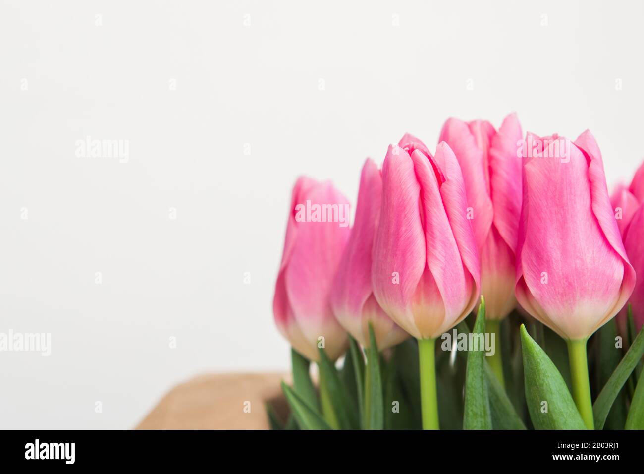 Free Simple Bright Tulip Mobile Wallpaper template