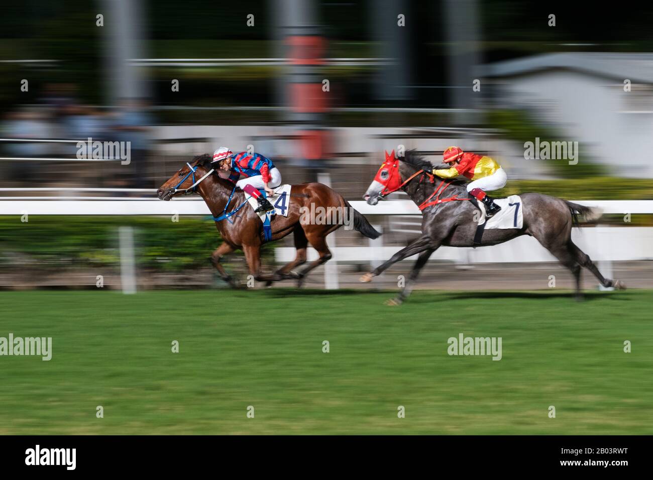 Horse Racing Betting High Resolution Stock Photography And Images Alamy