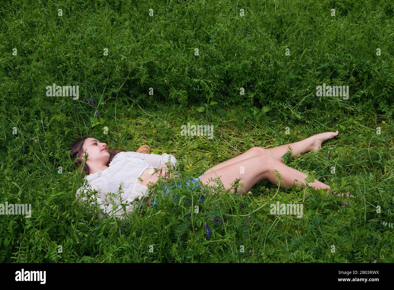 A young woman laying down in a field of vetch. Stock Photo