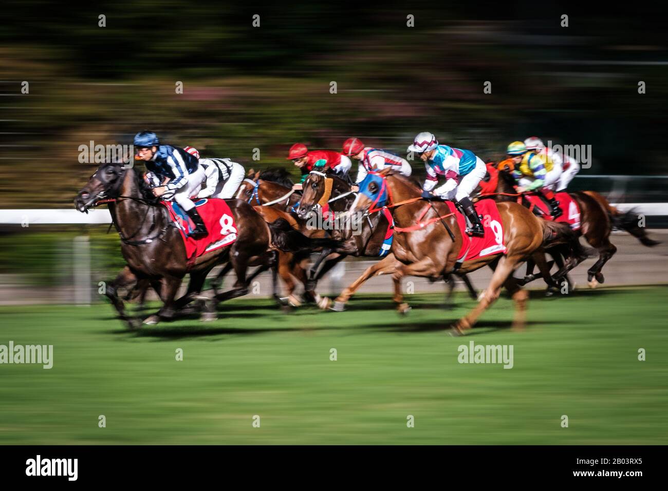 Horse Racing Betting High Resolution Stock Photography And Images Alamy