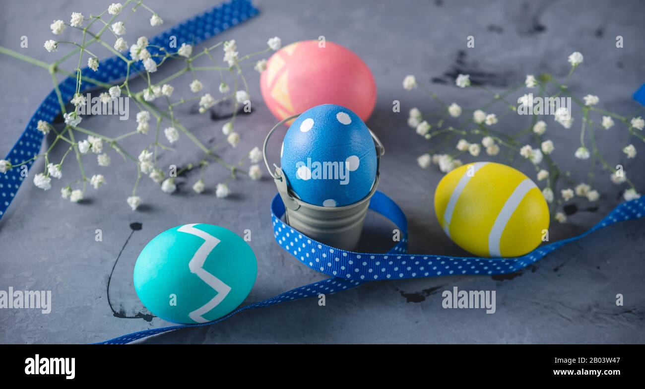 Bright colorful Easter eggs with a ribbon and spring flowers on a gray background. Festive spring Easter card. Stock Photo