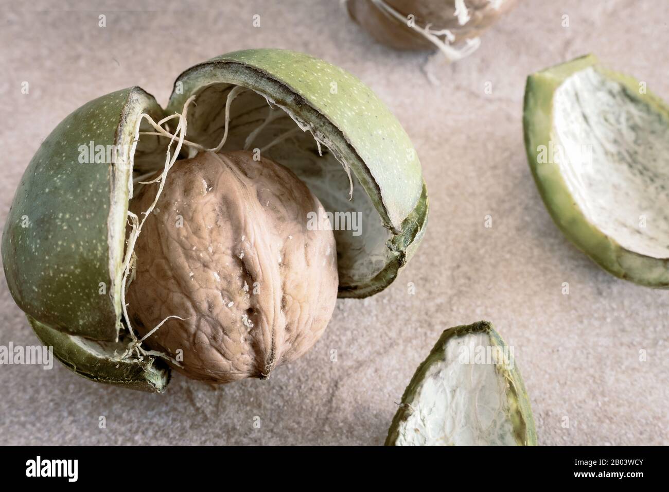 Walnuts in a green shell on the table Stock Photo