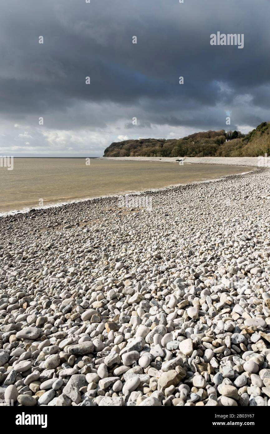 A curved stony beach is backed by woods.  The scene is bathed in winter sunlight but under dark clouds. The sea, the Bristol Channel, is calm. Stock Photo