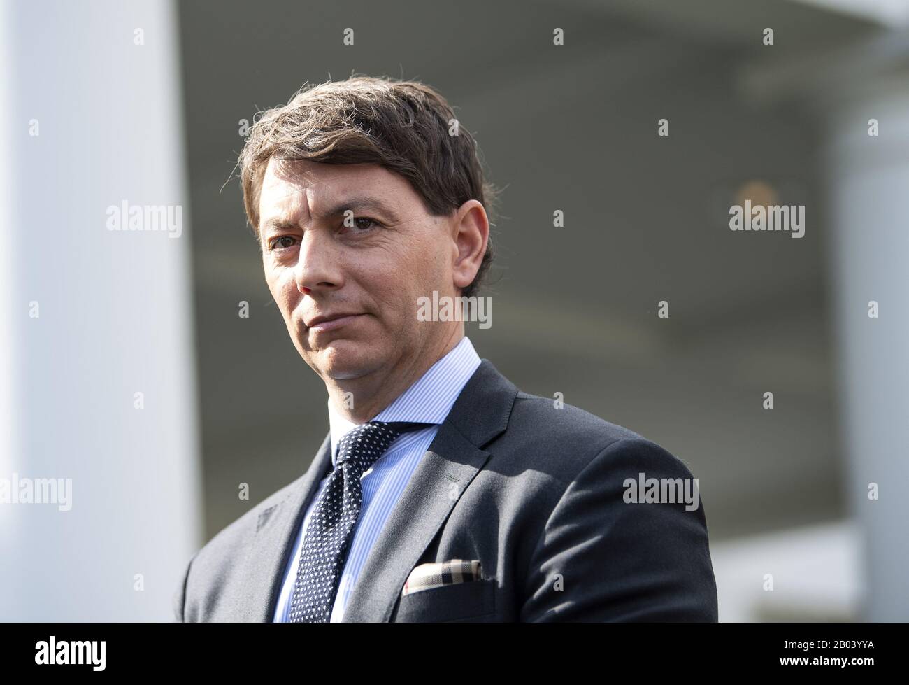 J hogan gidley hot sale
