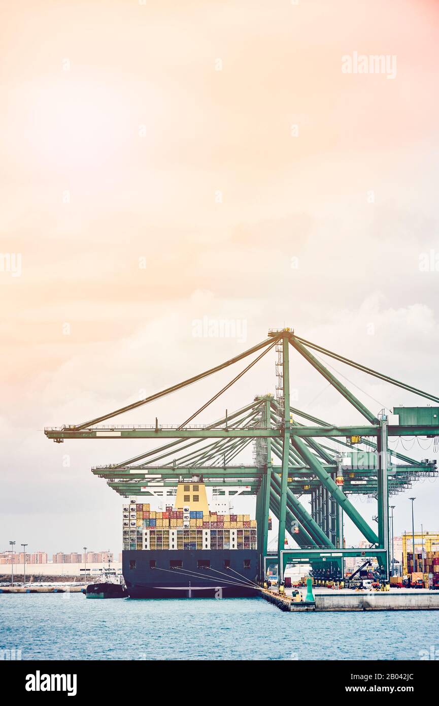 Ship-to-shore cranes unloading containers from a vessel in harbor enviroment.Transportation industry and shipment logistics.Export and import bussines Stock Photo