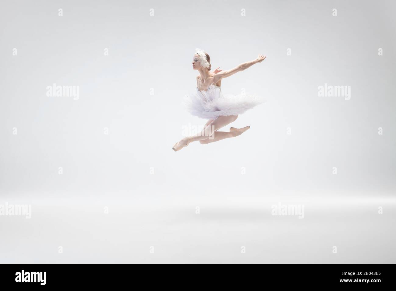 Flying bird. Graceful classic dancing isolated on white background. Woman in tender clothes a white swan characters. The grace, artist, movement, action and motion concept Stock Photo - Alamy