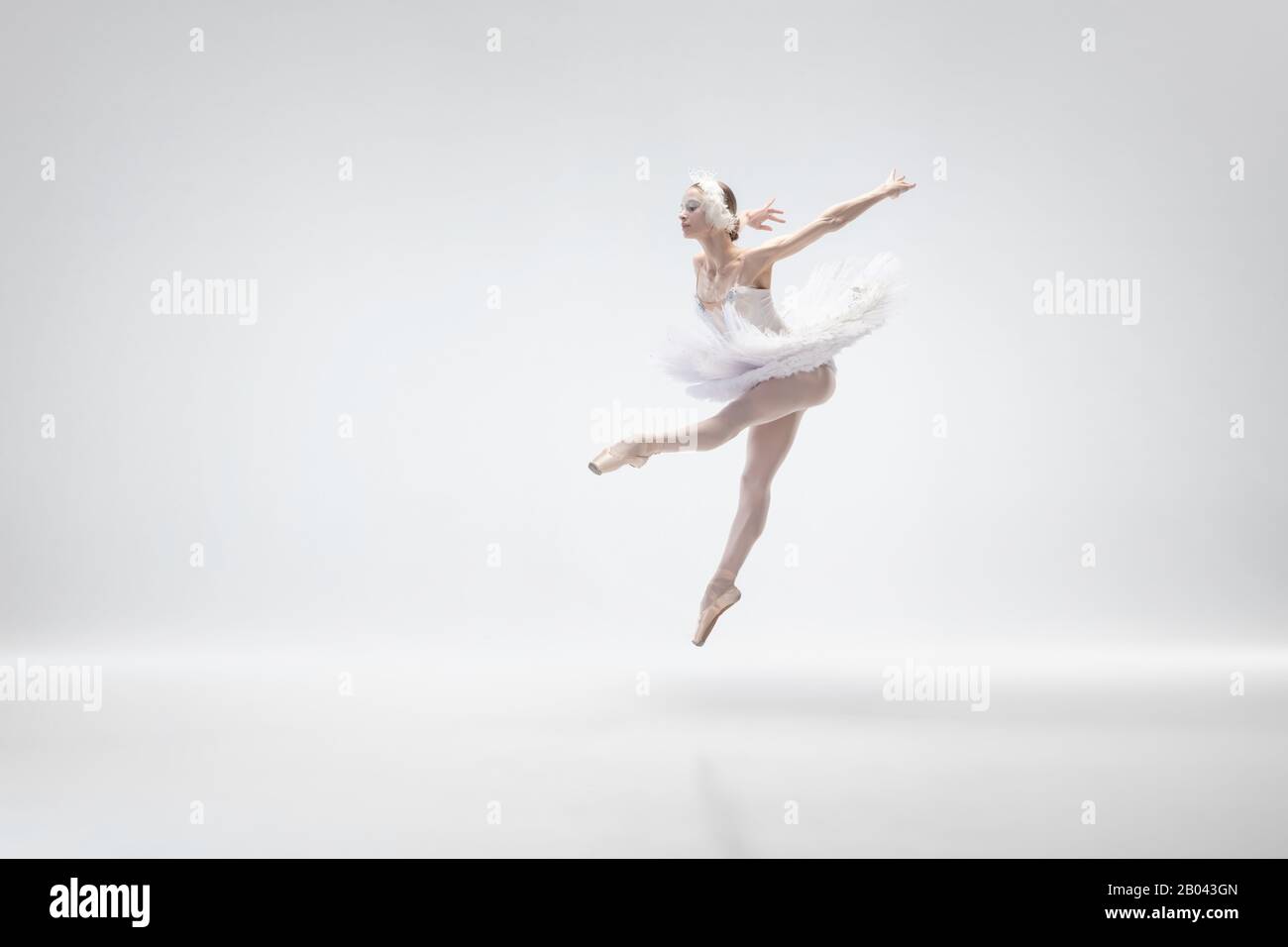 Flying bird. Graceful classic ballerina dancing isolated on white studio  background. Woman in tender clothes like a white swan characters. The  grace, artist, movement, action and motion concept Stock Photo - Alamy