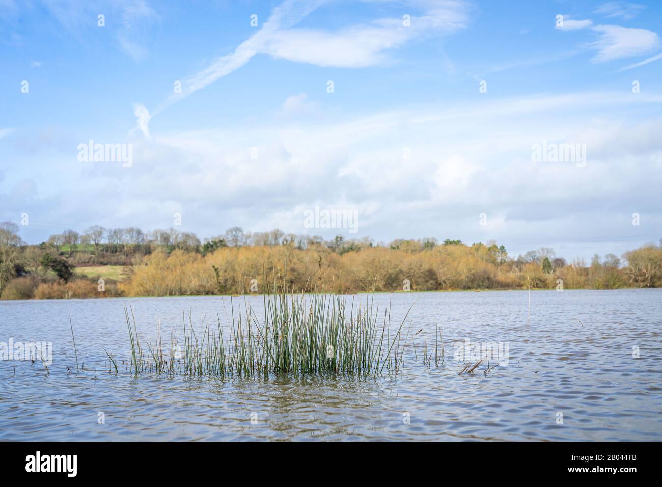 Fields on flood plain absorbing the water Stock Photo