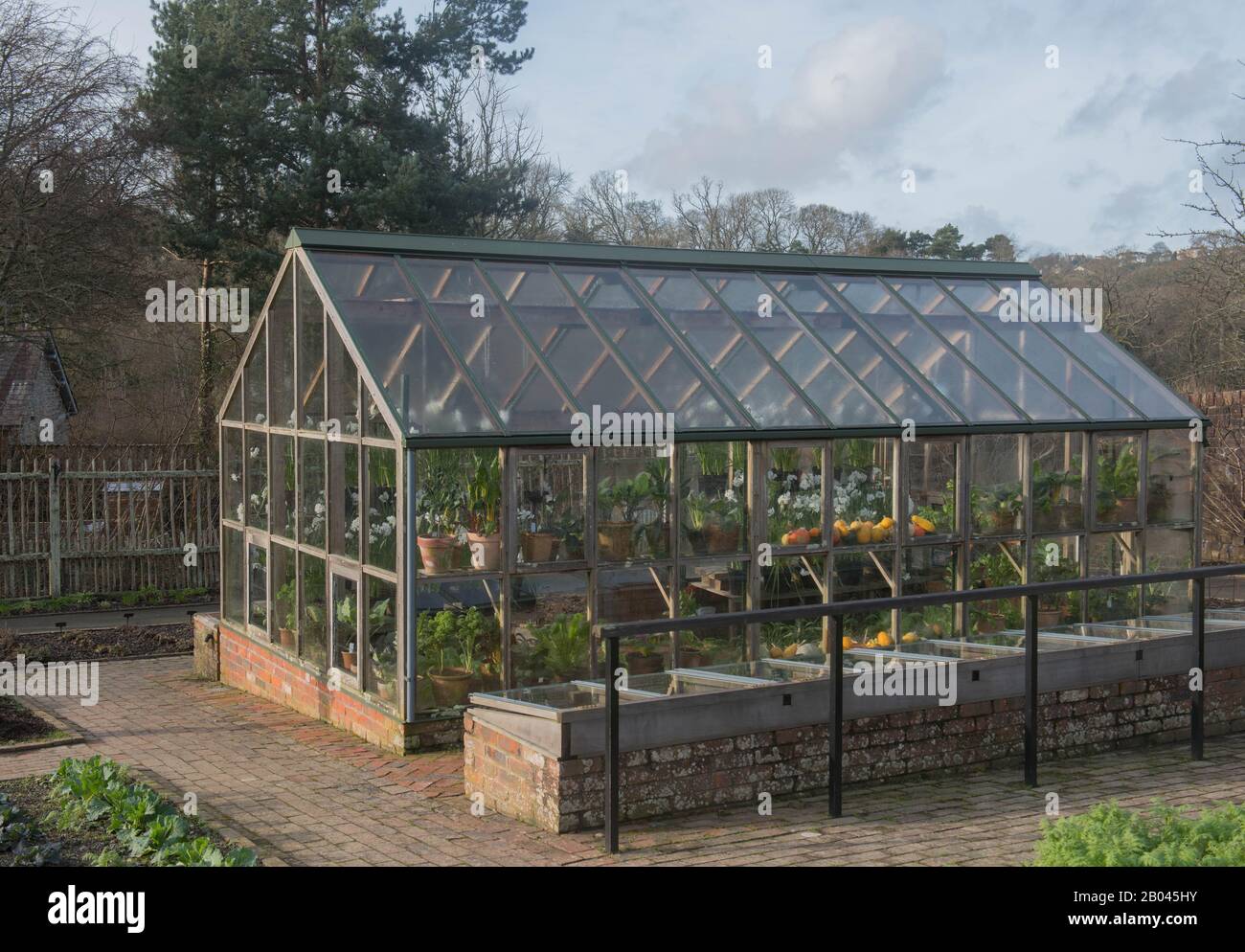 Traditional Greenhouse in the Vegetable Garden at Rosemoor in Rural Devon, England, UK Stock Photo