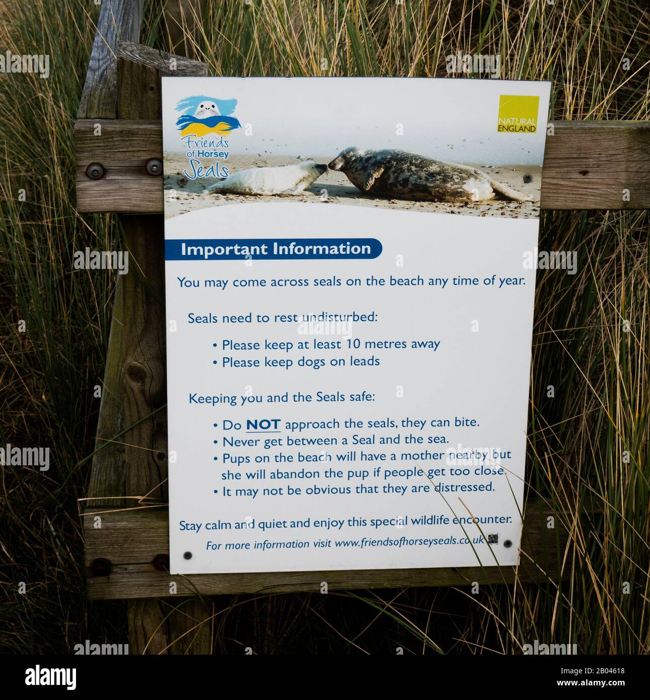warning sign for seal watching Stock Photo