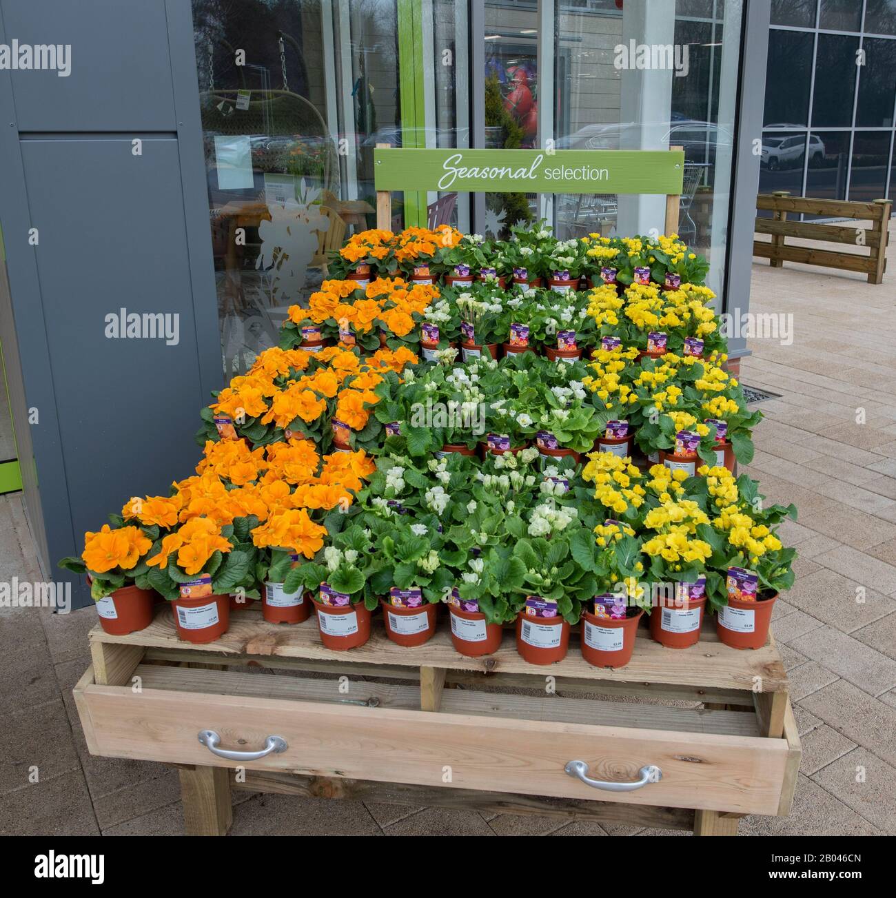 Garden centre flowers display hires stock photography and images Alamy