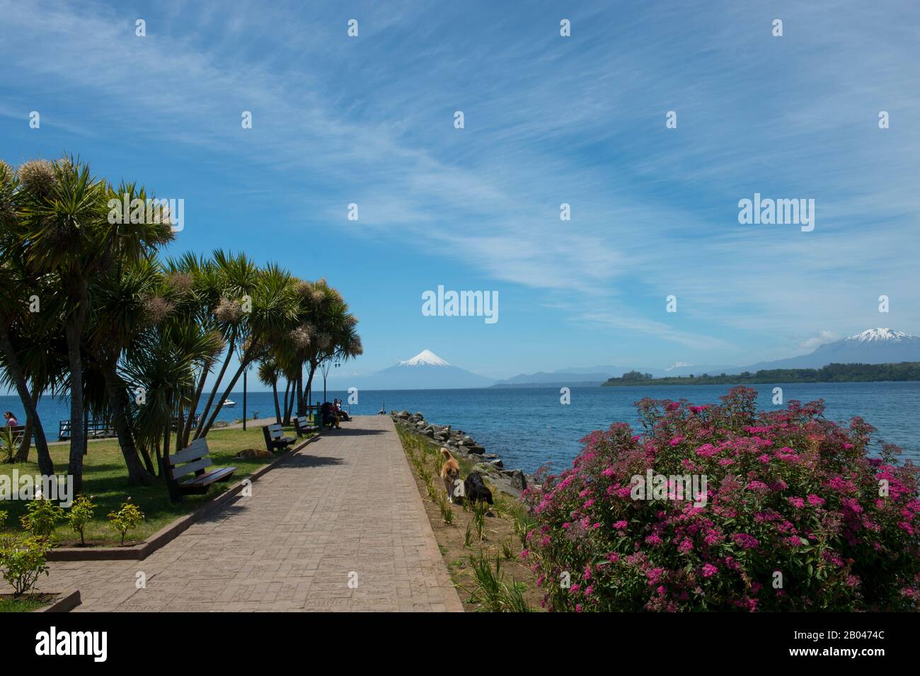 View of Lake Llanquihue and Mount Osorno (volcano) from Puerto Varas in the Lake District near Puerto Montt, Chile. Stock Photo