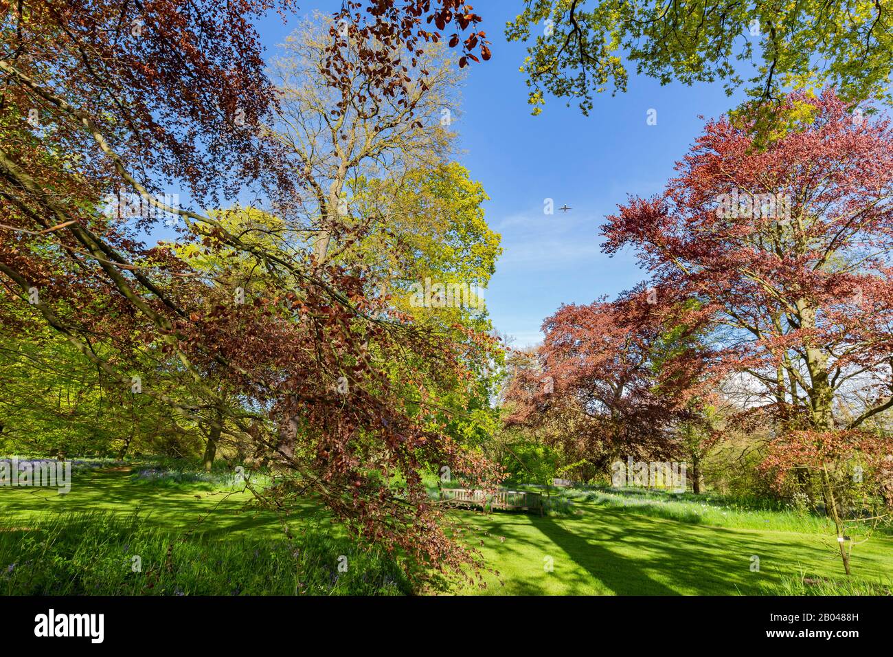 The beautiful natural landscape of the Kew Garden at Richmond, United Kingdom Stock Photo