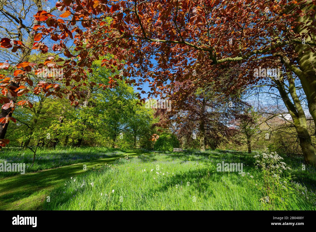 The beautiful natural landscape of the Kew Garden at Richmond, United Kingdom Stock Photo