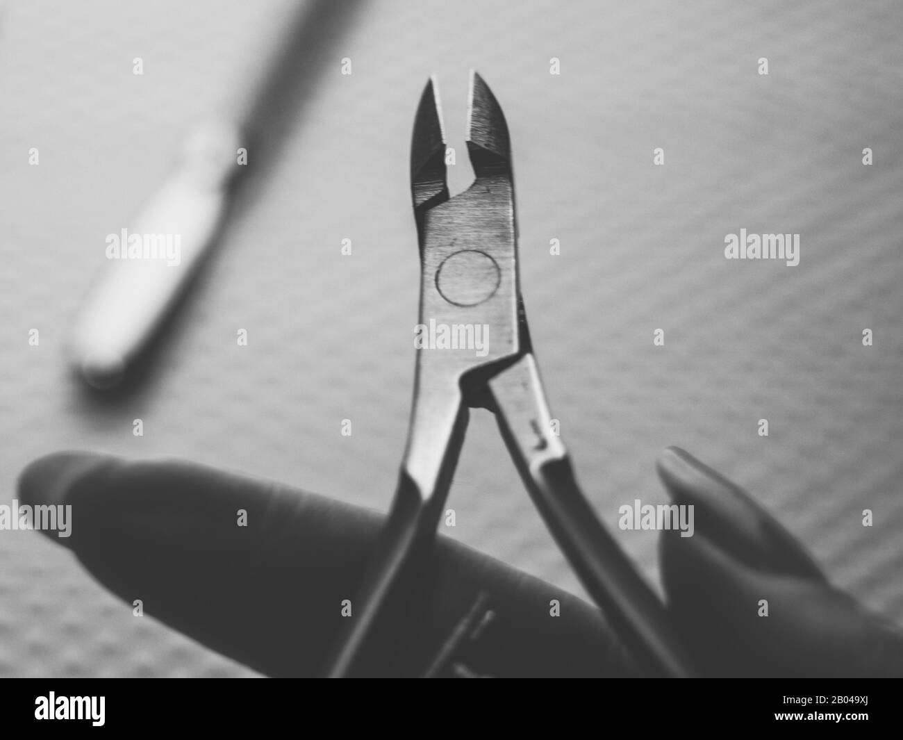 Nippers cuticle scissor in female fingers. Cuticle shovel on the blurred background. BW photo Stock Photo