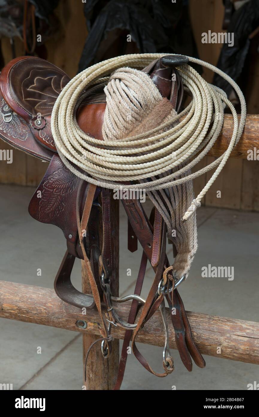 Saddle and lasso at Averill's Flathead Lake Lodge, a dude ranch near Kalispell, Montana, United States. Stock Photo