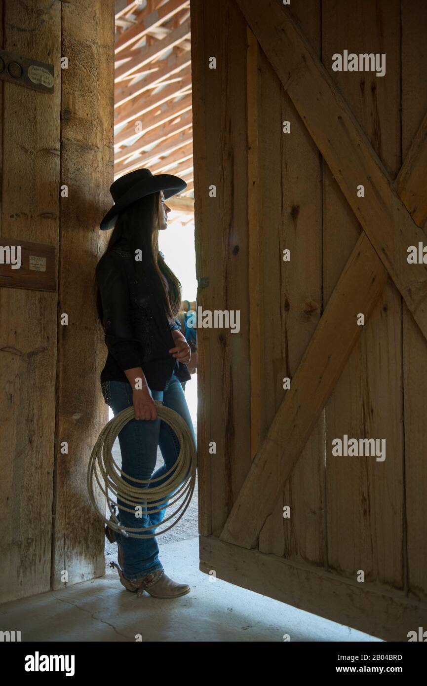 Old Barn Half Open Door Stock Photo 1007441737