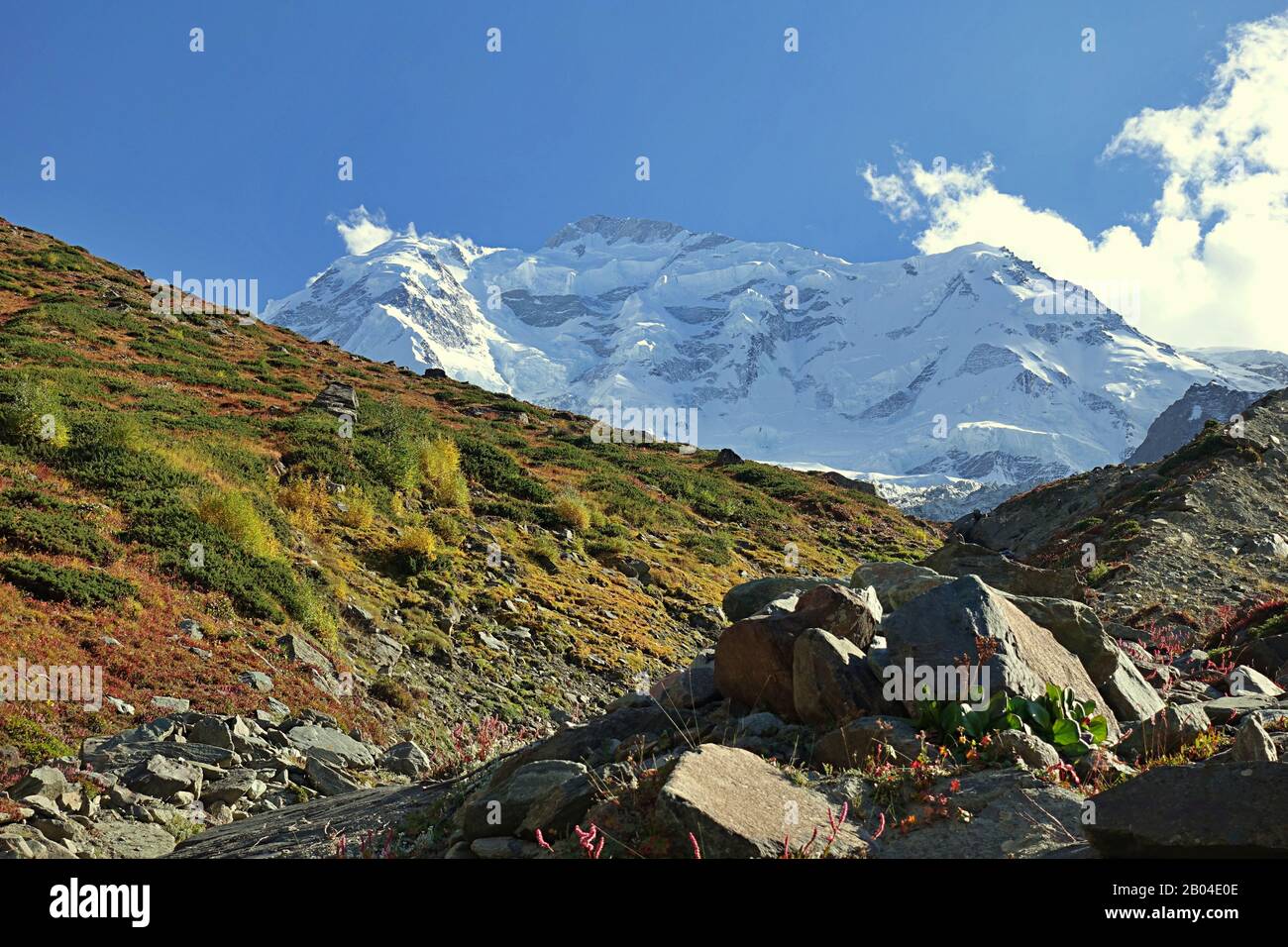 Cold Way to Rakaposhi basecamp trek in the Karakoram area, 2019 Pakistan Stock Photo