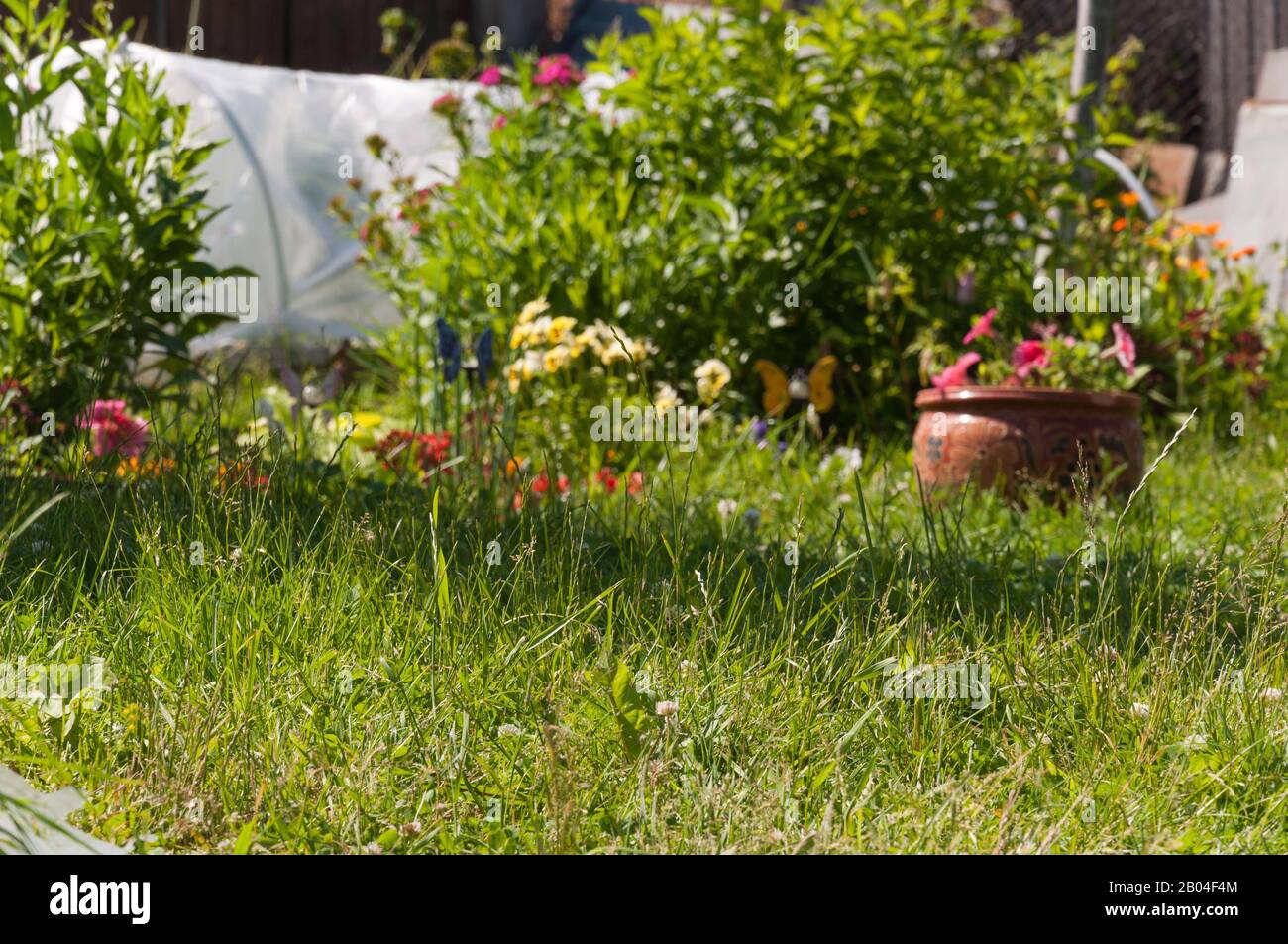 big vase with flowers in summer garden on rural background Stock Photo