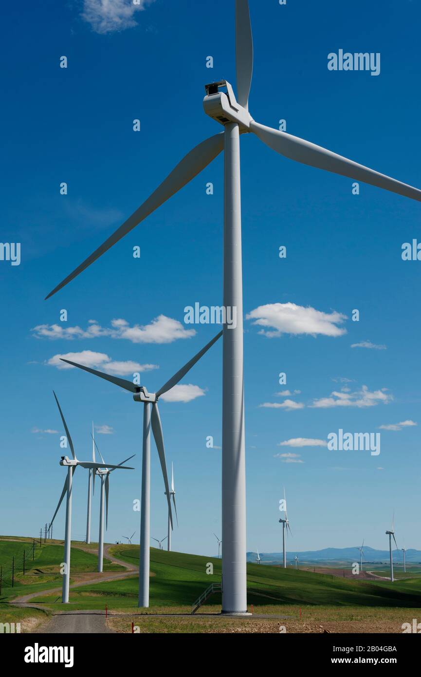 Rosalia washington state hires stock photography and images Alamy