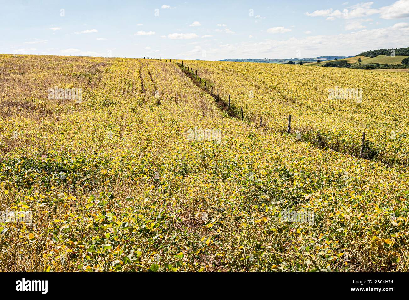 Ipuaçu Santa Catarina fonte: c8.alamy.com
