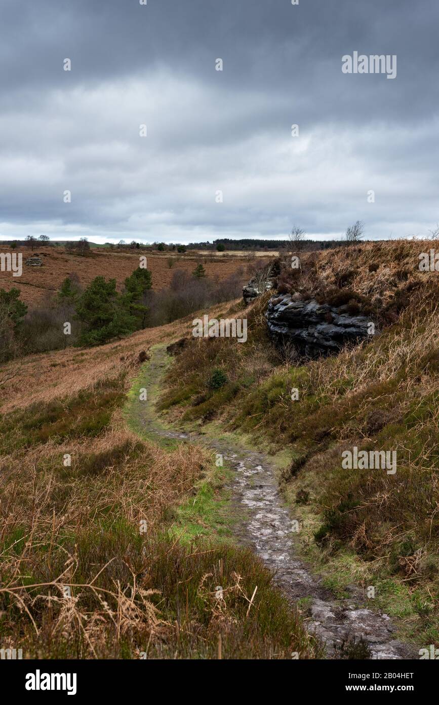 View along the Bridestones Path, Dalby Forest, UK. Stock Photo