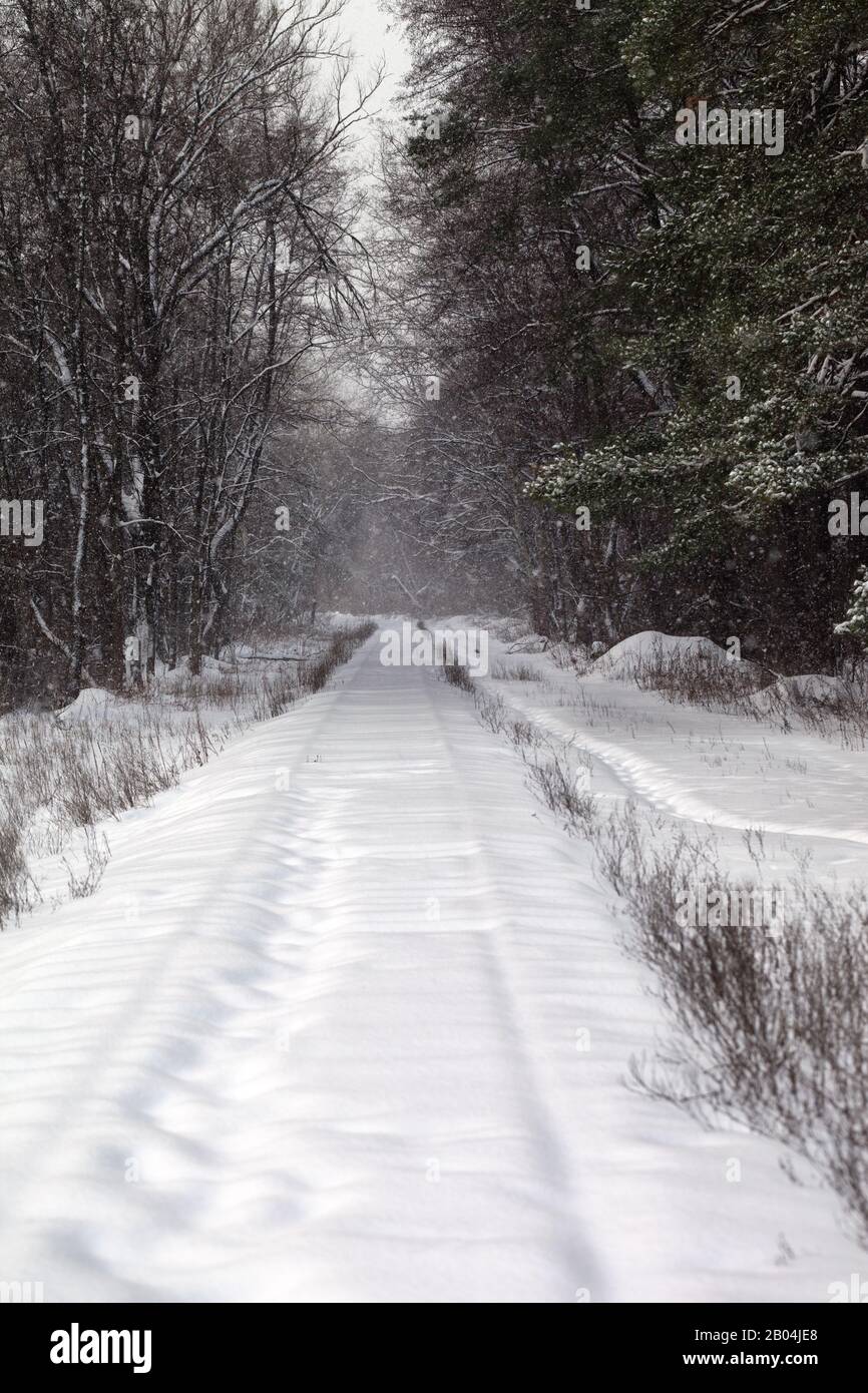 Snowcovered railway track in snowy winter forest after snowfall